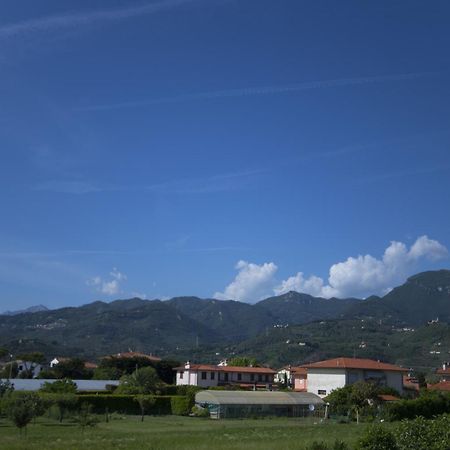 Aparthotel Il Tremarino Camaiore Exterior foto